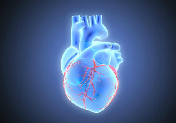 أنواع صمامات القلب