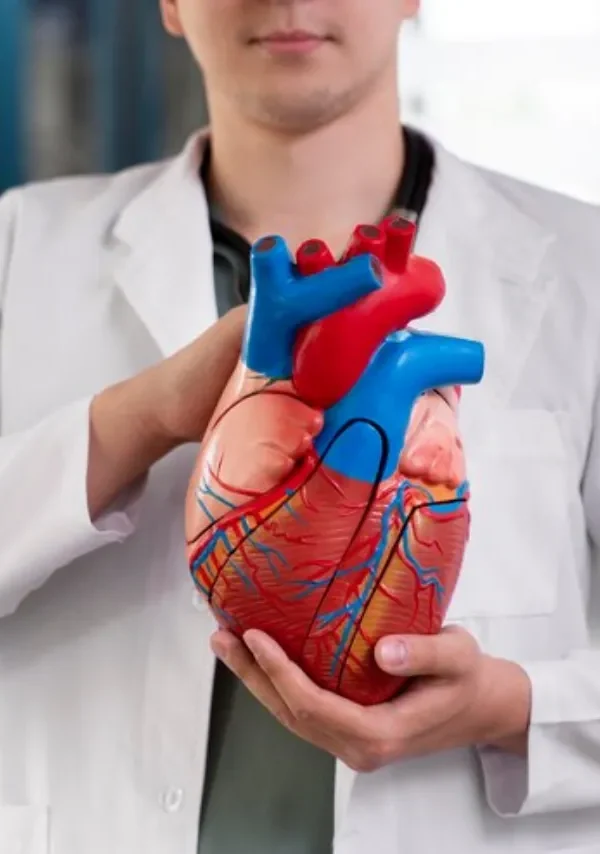 انواع القسطرة القلبية