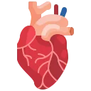 قسطرة القلب