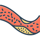 علاج تصلب الشرايين